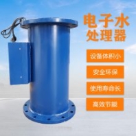 工業(yè)海水淡化設備 電子水 臭氧消毒