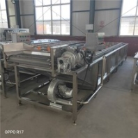龍蝦氣泡清洗機(jī)大蝦高壓噴淋清洗設(shè)備洗大蝦機(jī)器
