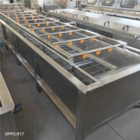 不銹鋼龍蝦清洗機(jī)大蝦氣泡清洗機(jī)設(shè)備海蝦清洗生產(chǎn)設(shè)備