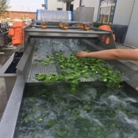 供應氣泡式蔬菜清洗機果蔬清洗機圖片景翔牌水果清洗機