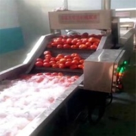 玉米氣泡清洗機(jī)玉米加工清洗設(shè)備諸城景翔機(jī)械