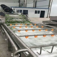 景翔牌黃豆氣泡清洗機(jī)大豆清洗機(jī)