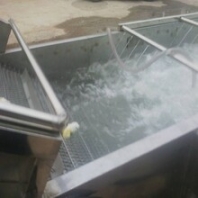 辣椒氣泡清洗機(jī)青椒清洗風(fēng)干機(jī)設(shè)備廠家