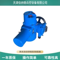 伯納德DQW60DJW60一體式調節(jié)型電動執(zhí)行器