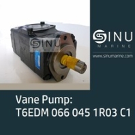 T7BSB102R02hydraulicpump液壓泵