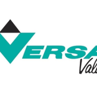 全國供應VERSA不銹鋼閥門BSP-3308-316-HYA