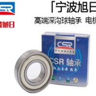 哪里能買到好用的0類寧波旭日深溝球高速電機(jī)6001RS軸承