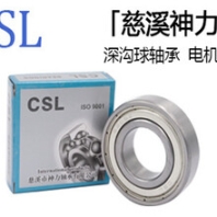 求購CSL慈溪神力0類深溝球6007RS軸承廠家電機(jī)軸承
