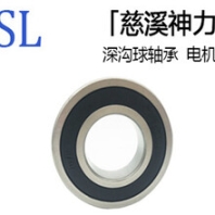 暢銷的慈溪神力0類6202-2RS軸承價(jià)格180202電機(jī)軸