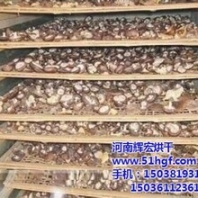大型香菇烘干機(jī),香菇烘干機(jī),輝宏機(jī)械在線咨詢