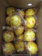 兩個檸檬自動包裝機(jī)