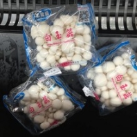 食用菇包裝機(jī)磨菇包裝機(jī)帶托盒食用菇套袋機(jī)