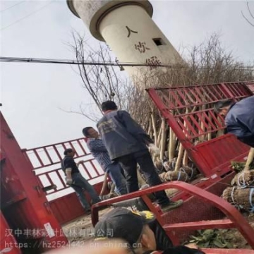 生活垃圾壓縮垃圾車租賃