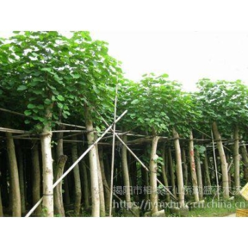 河南海韻圖,硫酸鋅工業(yè)級,黃龍縣硫酸鋅