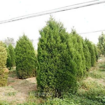 廣州變頻高大空間空調(diào)冷暖機(jī)組供應(yīng)商