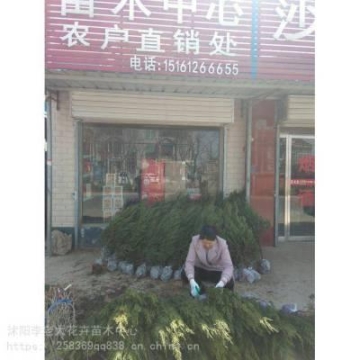 西安哪里有高大空間空調(diào)報(bào)價(jià)