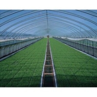 四川薄膜拱棚安裝工程持久耐用