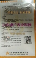 天津德瑞特博杰521黃瓜種子苗子批發(fā)