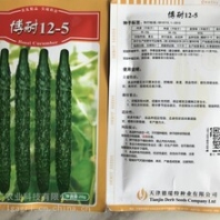 天津德瑞特博耐12-5黃瓜種子苗子批發(fā)越冬油亮高產(chǎn)黃瓜