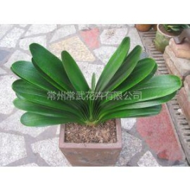 紹興高大空間空調(diào)使用年限