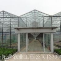 智能溫室大棚、蔬菜大棚