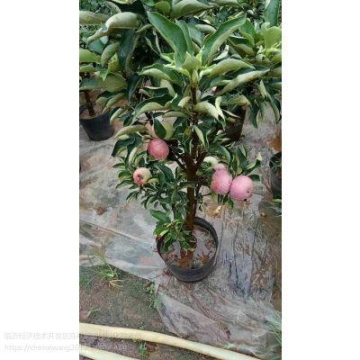 濱州高大空間空調(diào)廠家