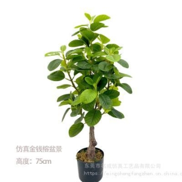 寧德98度電長(zhǎng)續(xù)航純電貨車東風(fēng)新能源貨車分期銷售