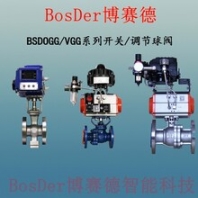 河北BSW850系列無(wú)線控制反饋器代理BSW650系列