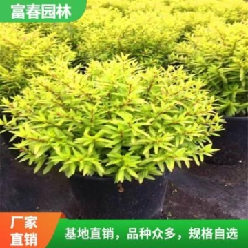 寧德98度電廣州長(zhǎng)續(xù)航純電貨車東風(fēng)新能源貨車報(bào)價(jià)