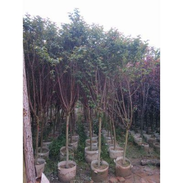 北京變頻高大空間空調(diào)廠家