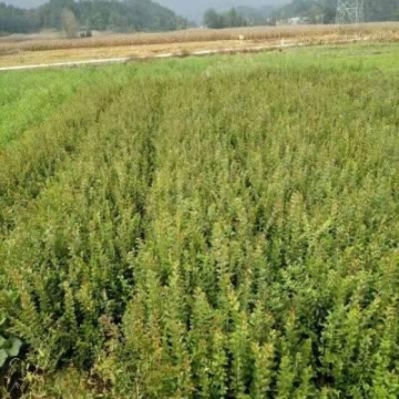 青島變頻高大空間空調(diào)價格