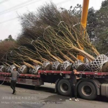 大連變頻高大空間空調(diào)冷暖機(jī)組報(bào)價(jià)