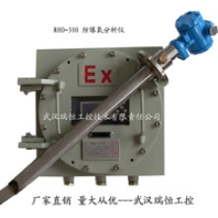 RHO-307直插防爆氧氣分析儀