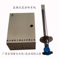 RHO-702高溫直插氧分析儀