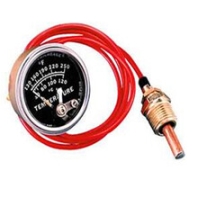 MURPHY溫度表EGS21T-300-24-A