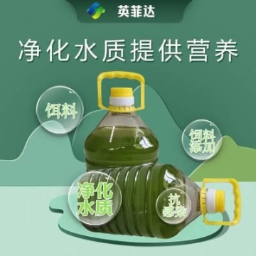 洛陽19座中型客車