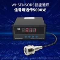 便攜式電子水位水溫計