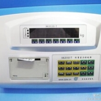廠家直銷洛陽貝爾東方XK3110-T稱重顯示器