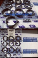 原裝進(jìn)口貓泵泵組2537