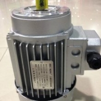 供應(yīng) 上 海德東電機廠 鋁殼小功率電機 YS7126 380V 0.25KW