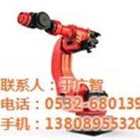 寒亭區(qū)機器人兄弟機器人機器人新松