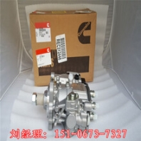 QSV91G康明斯機(jī)油泵3428191進(jìn)口原裝美康件