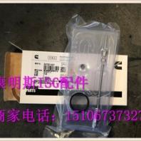 QSM液壓泵齒輪3161567/3028422中國(guó)西南地區(qū)康明斯