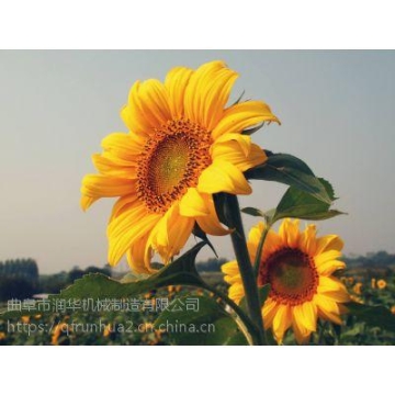 虹口新風(fēng)風(fēng)閥廠家批發(fā)