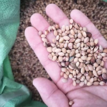 黃山高速綠籬修剪機(jī)生產(chǎn)廠家聯(lián)系方式,邊坡修剪機(jī)