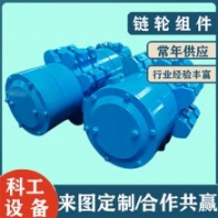 科工定做34*126鏈輪組件 車床銑窩44Z0103機(jī)尾動力組成 支持打光譜