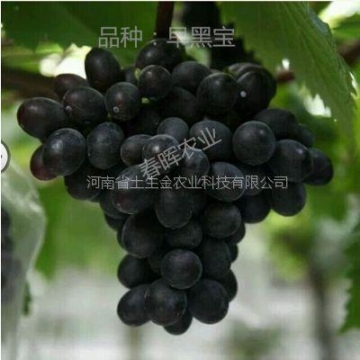 蘇州出售排針排母聯(lián)系方式