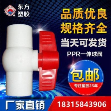 熱熔PPR一體球閥φ25ppr手動(dòng)閥門(mén)瑞光牌通用配件東方塑膠