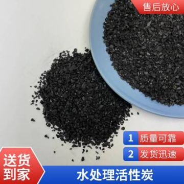 【藍宇凈水】通用后置過濾芯 家用小型過濾器配件10寸CTO燒結(jié)活性炭