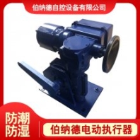 天津 伯納德整體式一體化電動執(zhí)行機(jī)構(gòu)B+RS400/K65H角行程電動執(zhí)行器